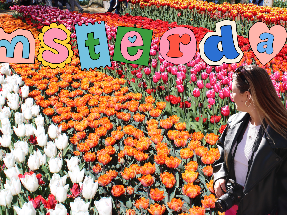 48 Hours in&nbsp;Amsterdam