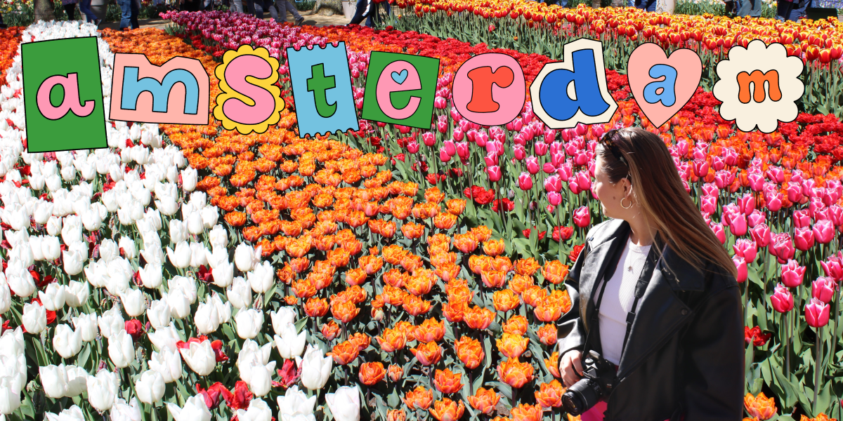 48 Hours in&nbsp;Amsterdam